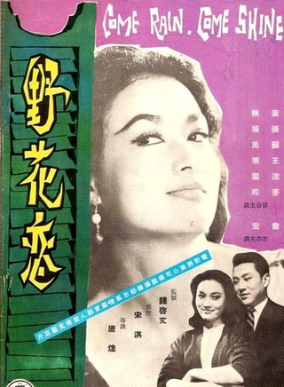 葉楓 葉楓