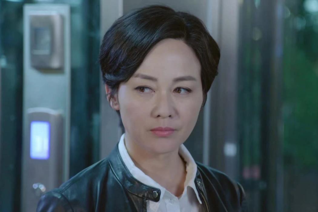 韓萍(現代諜戰劇《諜海追蹤》中的角色)