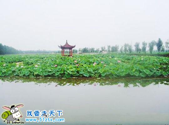 揚州射陽湖省級濕地公園