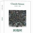 刺槐樹 刺槐樹