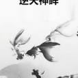 逆天神眸 逆天神眸