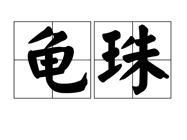 龜珠 龜珠