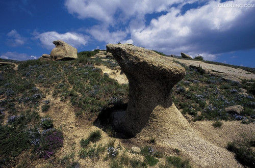 內蒙古賽罕烏拉國家級自然保護區