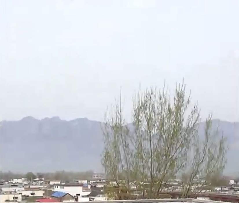 早生村 早生村