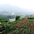方龍村(海南五指山市水滿鄉下轄村) 方龍村(海南五指山市水滿鄉下轄村)