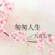 匆匆人生 匆匆人生