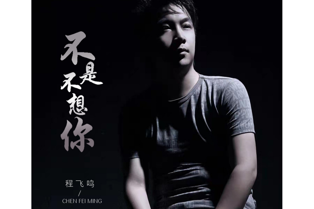 不是不想你(程飛鳴演唱歌曲)