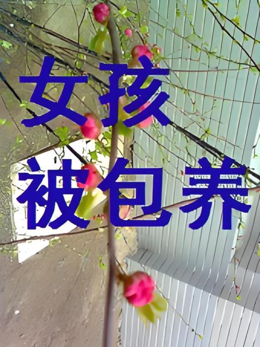 女孩被包養 女孩被包養