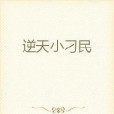 逆天小刁民 逆天小刁民