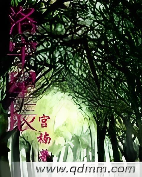 洛宇星辰 洛宇星辰