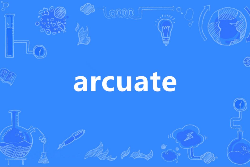 arcuate(英語單詞)
