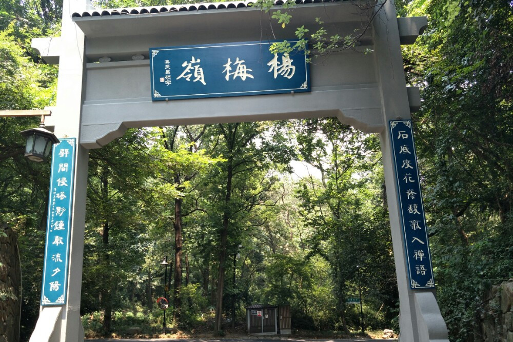 楊梅嶺 楊梅嶺