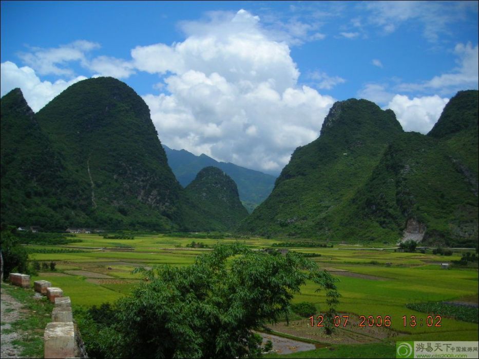 桂林草坪 桂林草坪