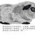 暖熊 暖熊