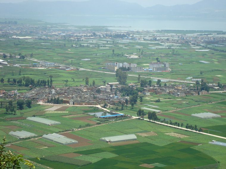 右所營村 右所營村