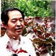 程相軍 程相軍