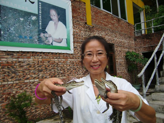 胡誠禮展示鱷魚基地