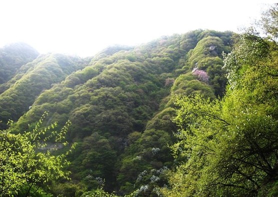 祥峪森林公園