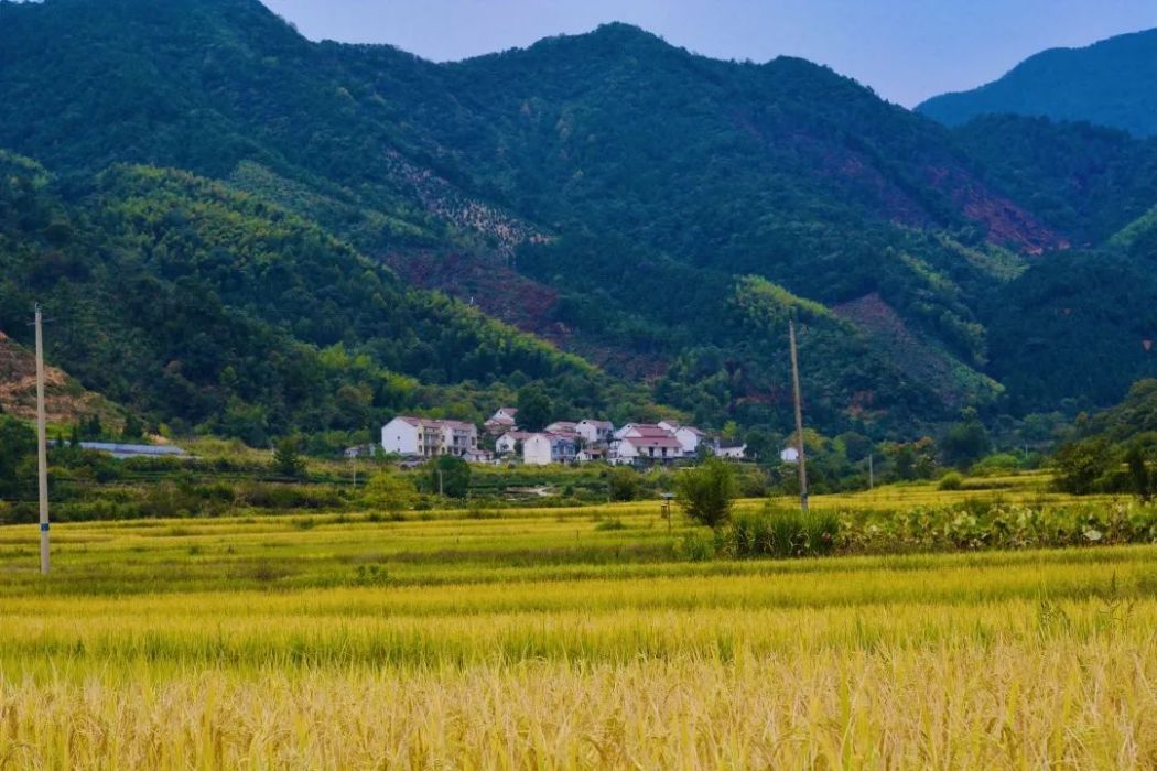 庫山村(安徽省石台縣丁香鎮下轄行政村) 庫山村(安徽省石台縣丁香鎮下轄行政村)