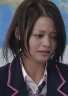 武士高校(日本2009年佐藤東彌執導電視劇)