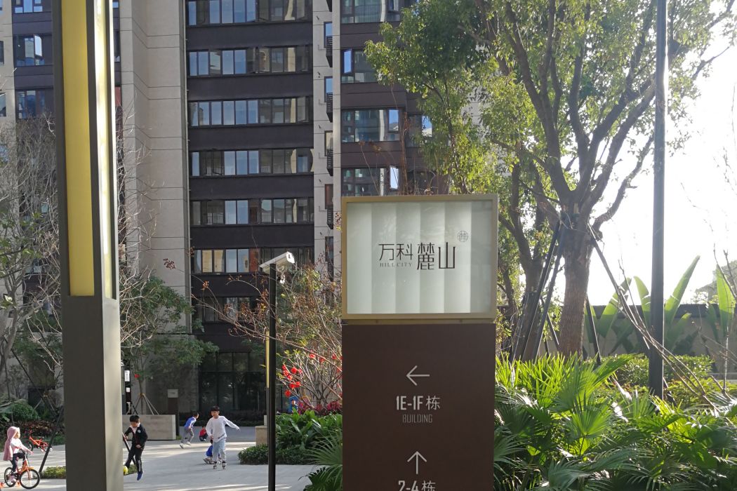 萬科麓山(深圳市萬科麓山小區)