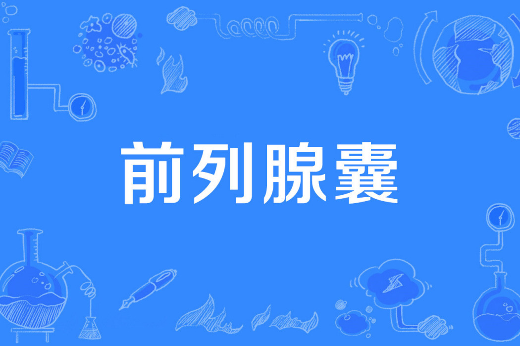 前列腺囊 前列腺囊