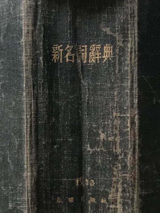 新名詞辭典 新名詞辭典