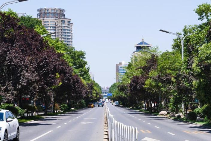 興慶路 興慶路