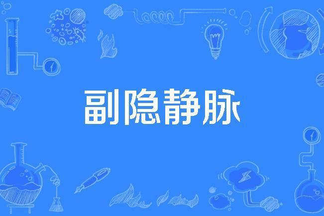 副隱靜脈 副隱靜脈
