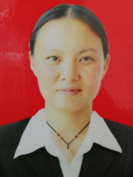 羅媛(雲南省楚雄彝族自治州元謀縣氣象局副局長) 羅媛(雲南省楚雄彝族自治州元謀縣氣象局副局長)