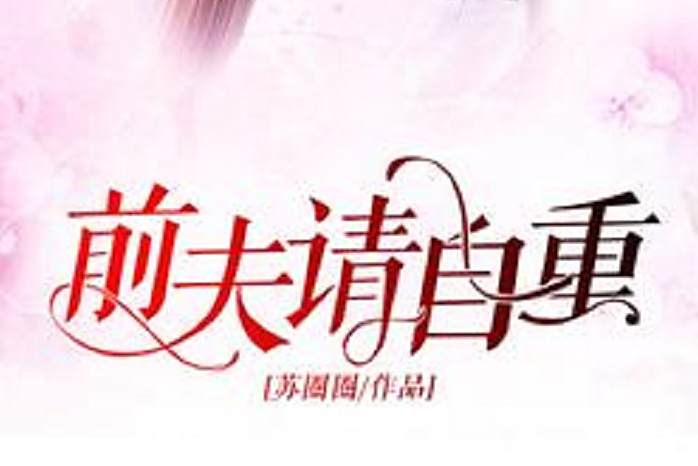 前夫請自重(蘇圈圈所著小說)