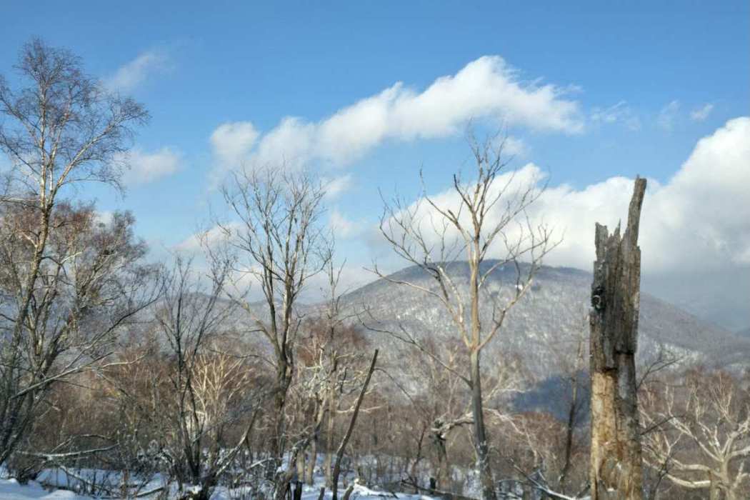 荒溝嶺(長白山系吉林哈達嶺下的山脈) 荒溝嶺(長白山系吉林哈達嶺下的山脈)