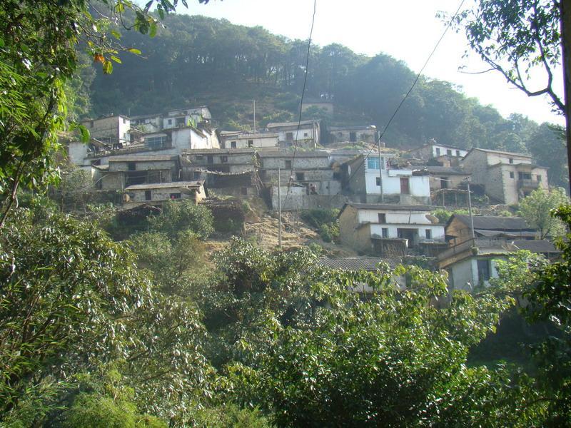 灰竹林村 灰竹林村