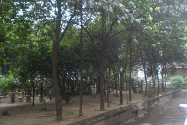 新開寺街 新開寺街