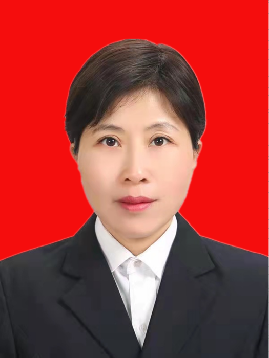 李娜(延安市寶塔區人民政府副區長)