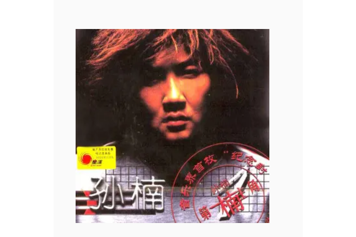 對視(孫楠《第一楠主角》專輯中的歌曲) 對視(孫楠《第一楠主角》專輯中的歌曲)