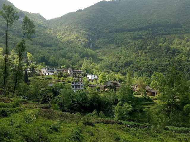 銀水坡村 銀水坡村