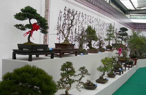 中國·東海花卉博覽會