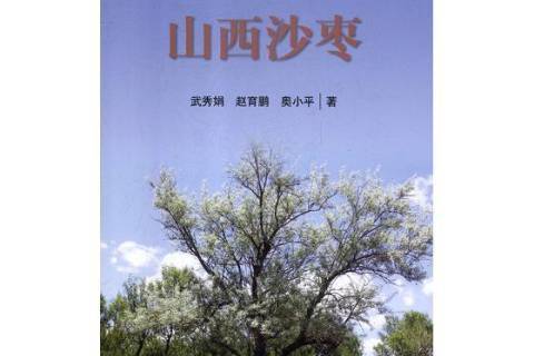 山西沙棗 山西沙棗
