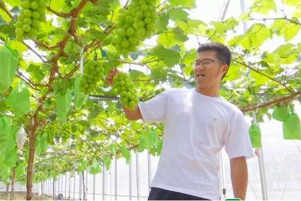 彭浩(汕頭市澄海區金港灣種養專業合作社理事) 彭浩(汕頭市澄海區金港灣種養專業合作社理事)
