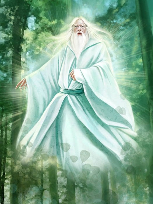 焚老 焚老