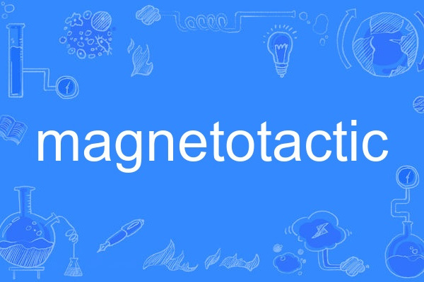 magnetotactic magnetotactic