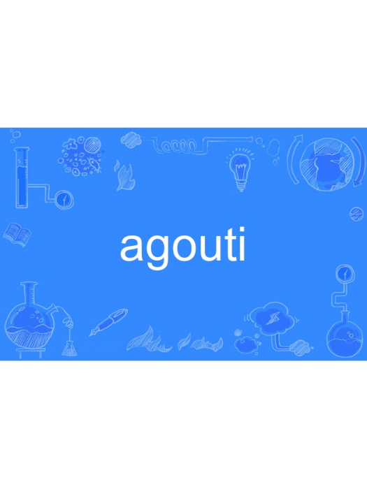 agouti agouti