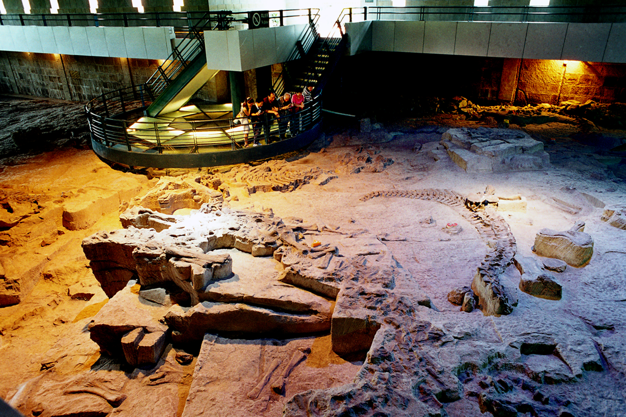 化石埋藏遺址