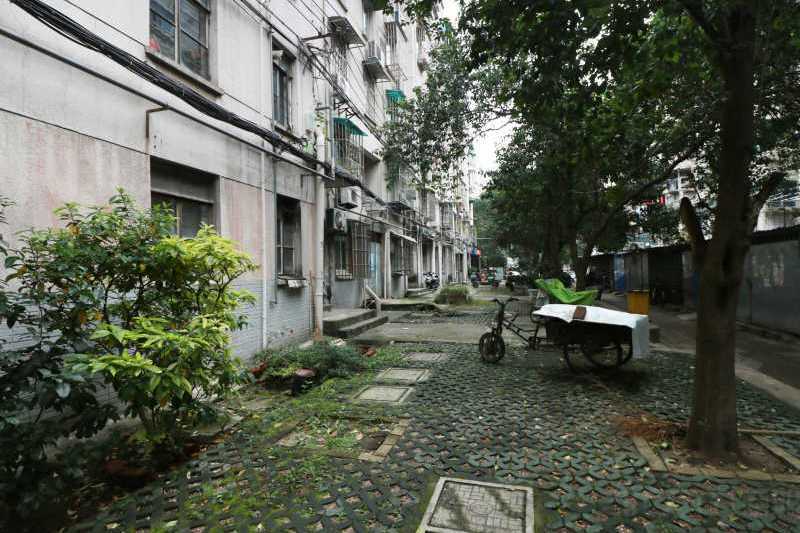 金粟庵路 金粟庵路