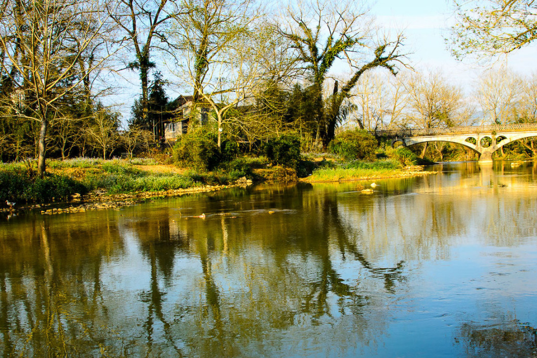 溪畔公園 溪畔公園