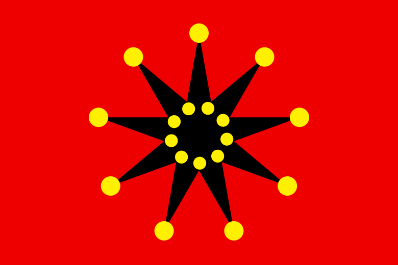 辛亥革命時期代表漢民族的旗幟