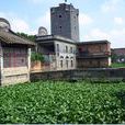 蓮塘村(江西省贛州市會昌縣小密鄉蓮塘村) 蓮塘村(江西省贛州市會昌縣小密鄉蓮塘村)