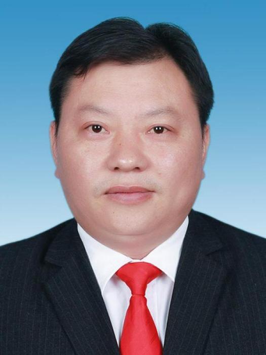 王曉文(江西省峽江縣博物館（峽江縣文物保護中心）館長（主任）)