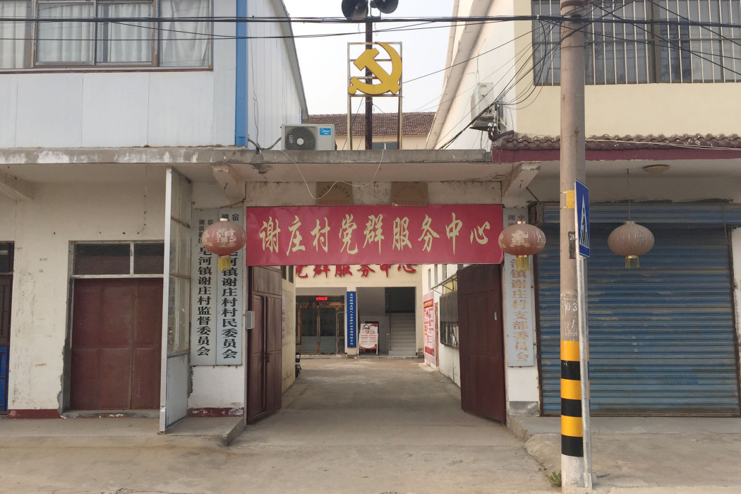 謝莊村(江蘇省宿遷市皂河鎮謝莊村) 謝莊村(江蘇省宿遷市皂河鎮謝莊村)